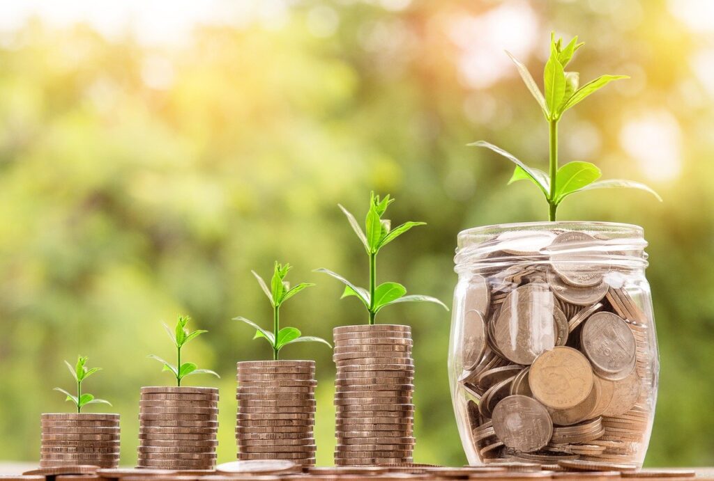 Image of plant growing from stacks of money